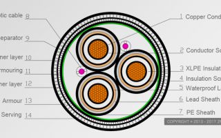 5b447a049caf6.jpg
