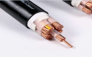 What are the causes of wire and cable damage in winter?