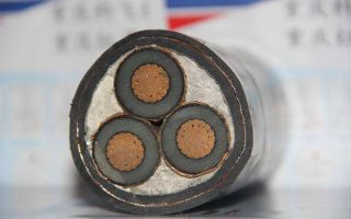 How about the development of high temperature resistant power cables in recent years?