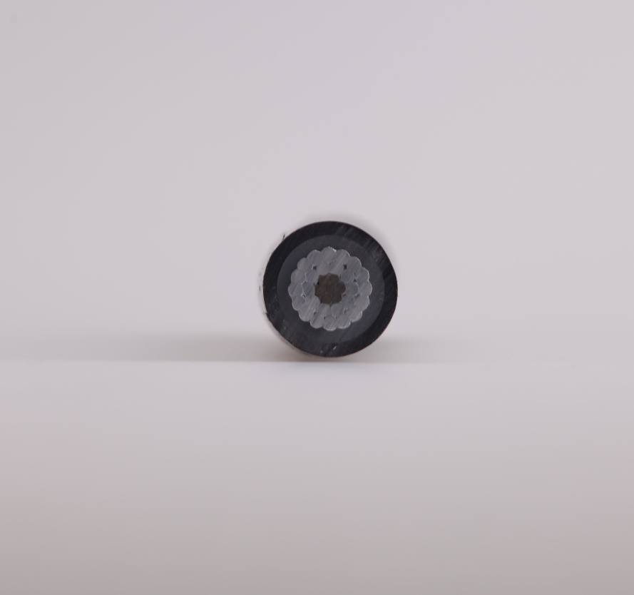 1548640153243322.png