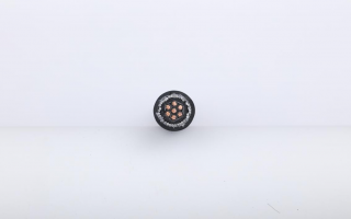 Control silicone rubber cable copper strip braiding ZR-KGGB