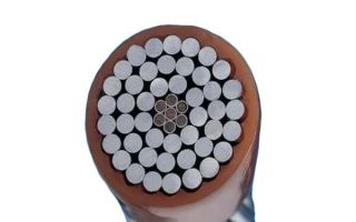 What are the common faults of 10kV overhead lines?