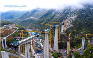 Detailed understanding of the overhead cable industry in the domestic market share is how much