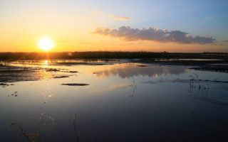 Introduction of the rehabilitation and upgrading works of the Shafran Canal