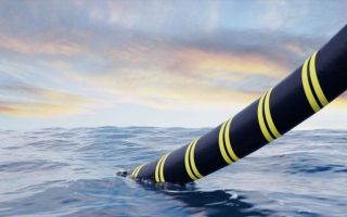 Study shows submarine power cables don't harm marine life