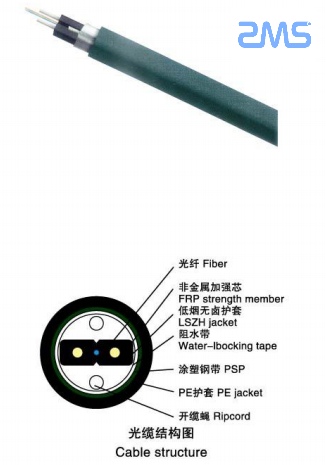 微信圖片_20240304110431.jpg