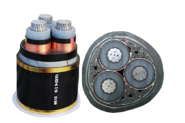 ata armored cable.jpg